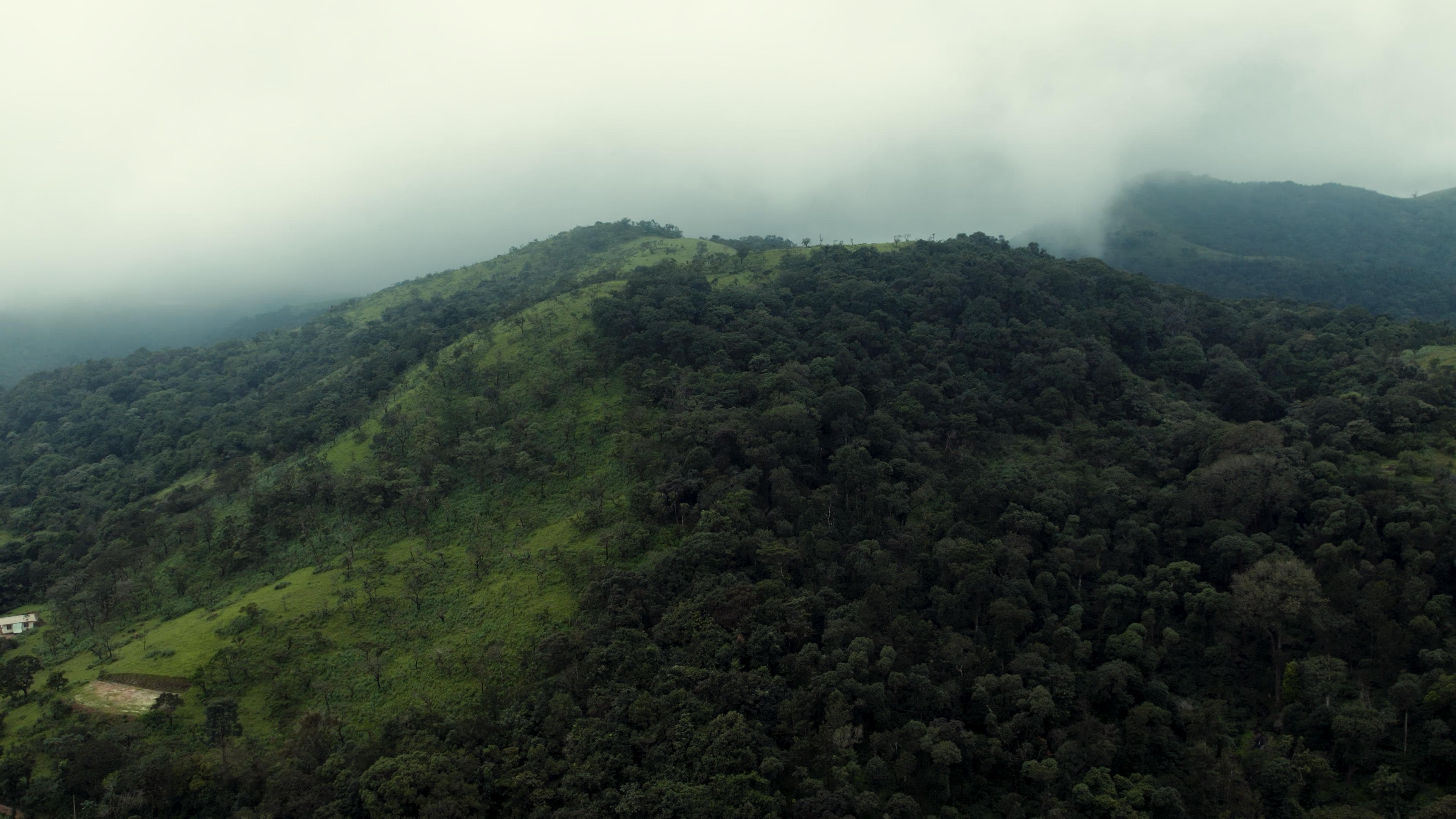 Estate Arte — Chikmagalur, Karnataka